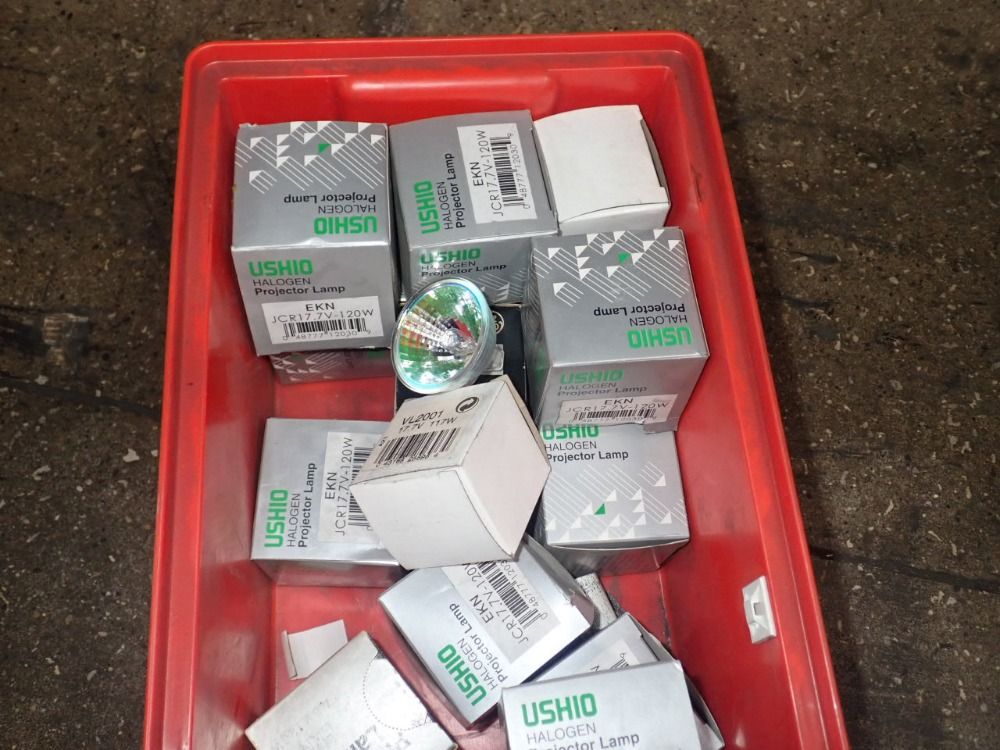 Ushio Halogen Light Bulbs