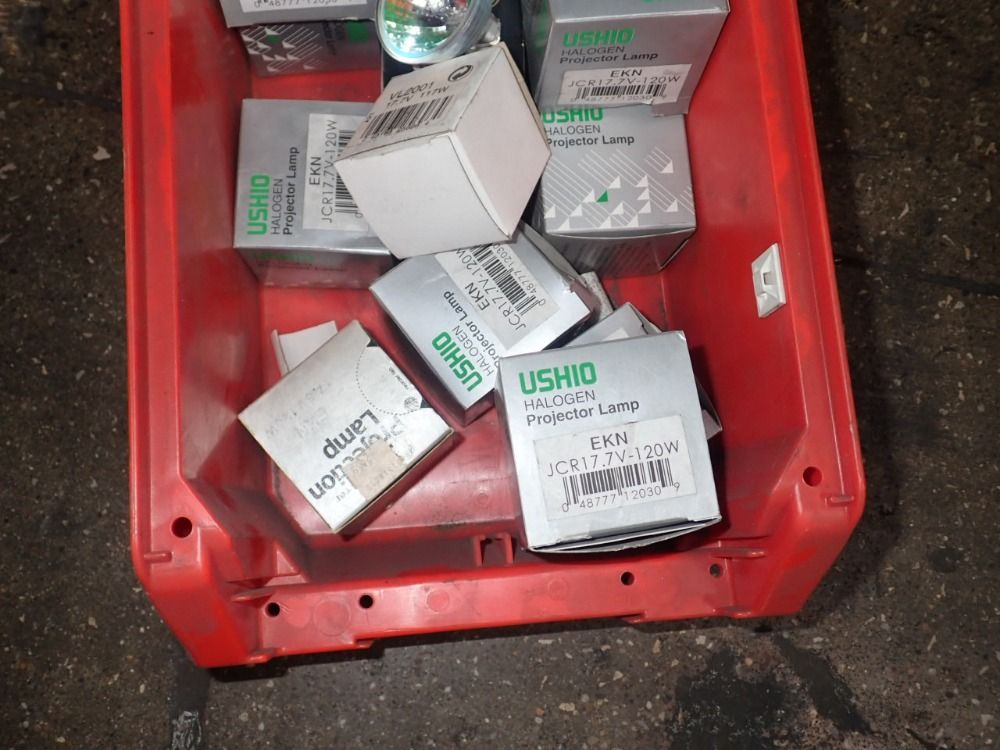 Ushio Halogen Light Bulbs