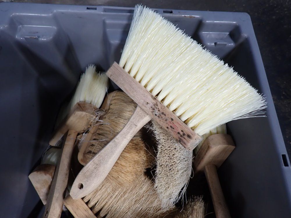 Magnolia Brush Brushes