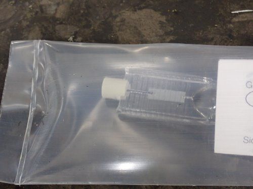 Heraeus Halogen Bulbs