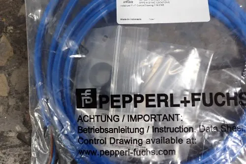 Pepper & Fuchs Sensor