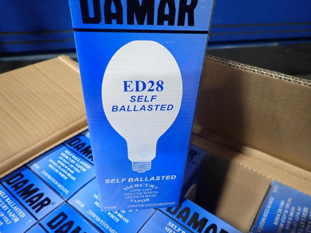 Damar Light Bulbs