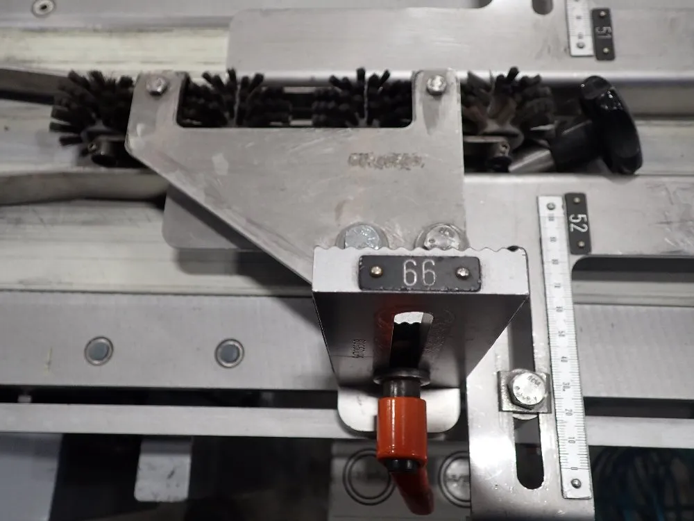 Rotzinger Powered Belt Conveyor