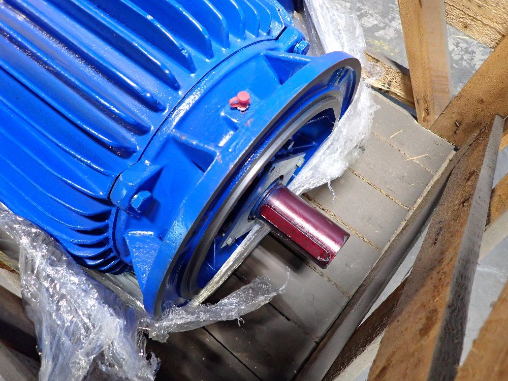 Elektrim 25 Hp Motor - Vp73207