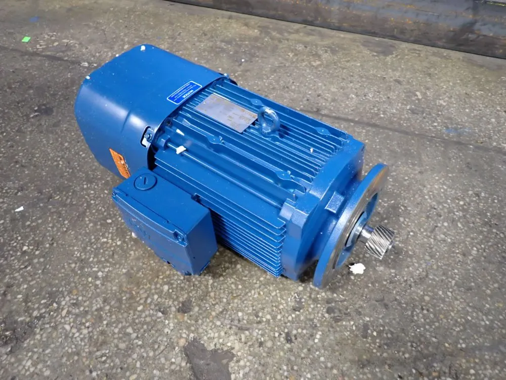 Seweurodrive Motor
