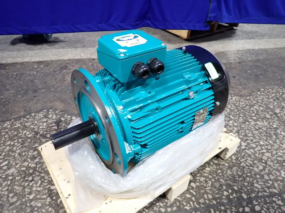 MOTOR