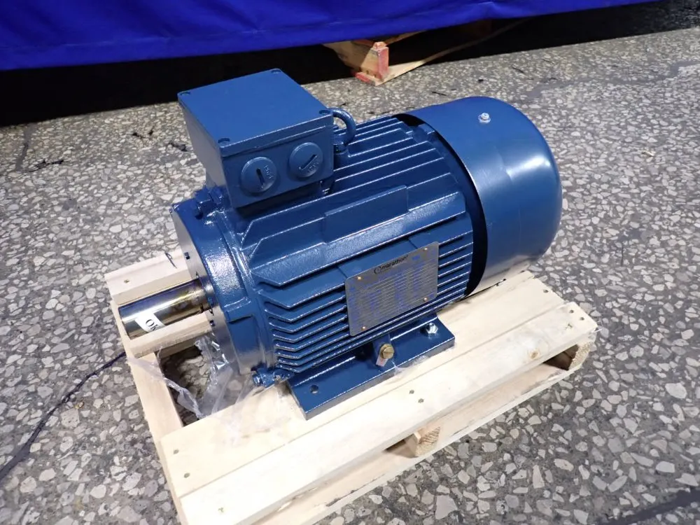 MOTOR