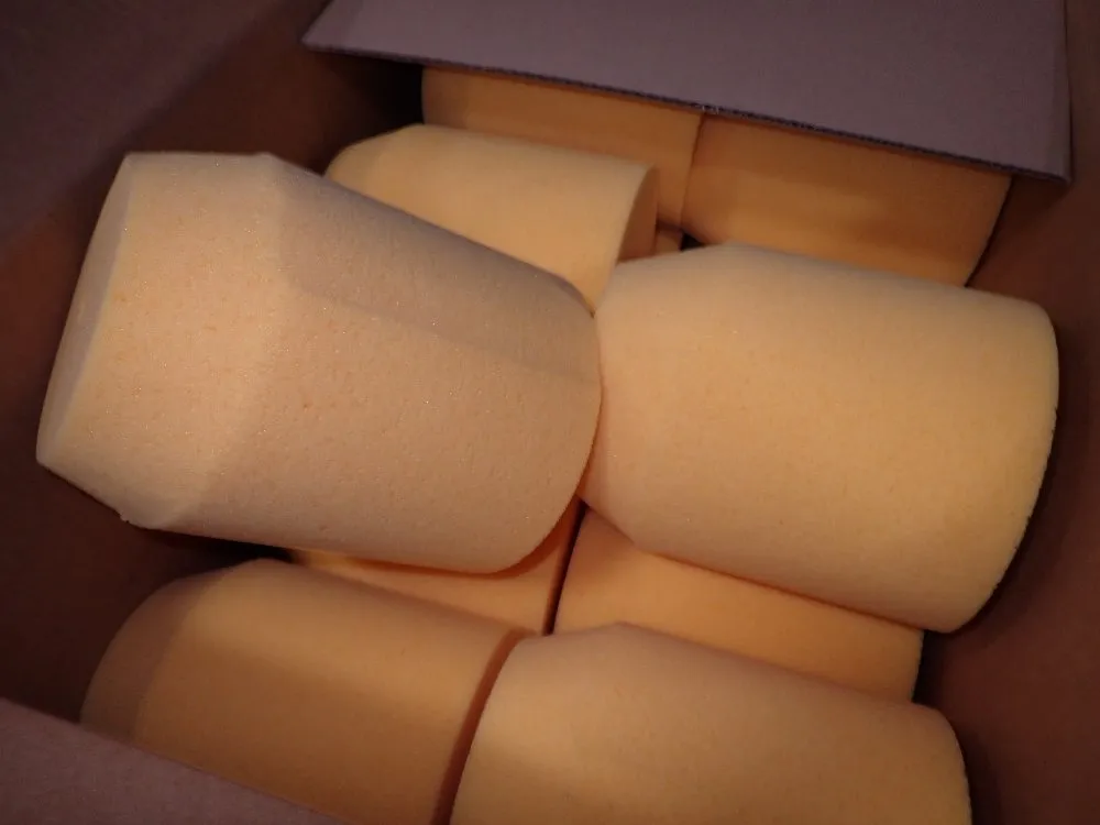  Sponges