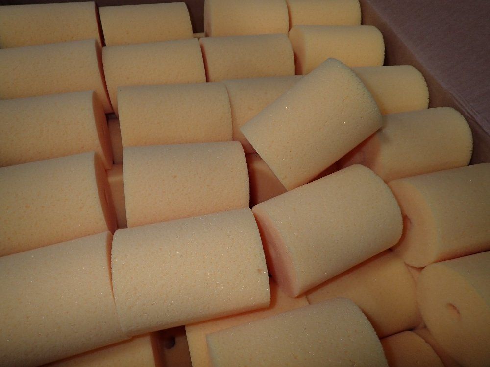  Sponges
