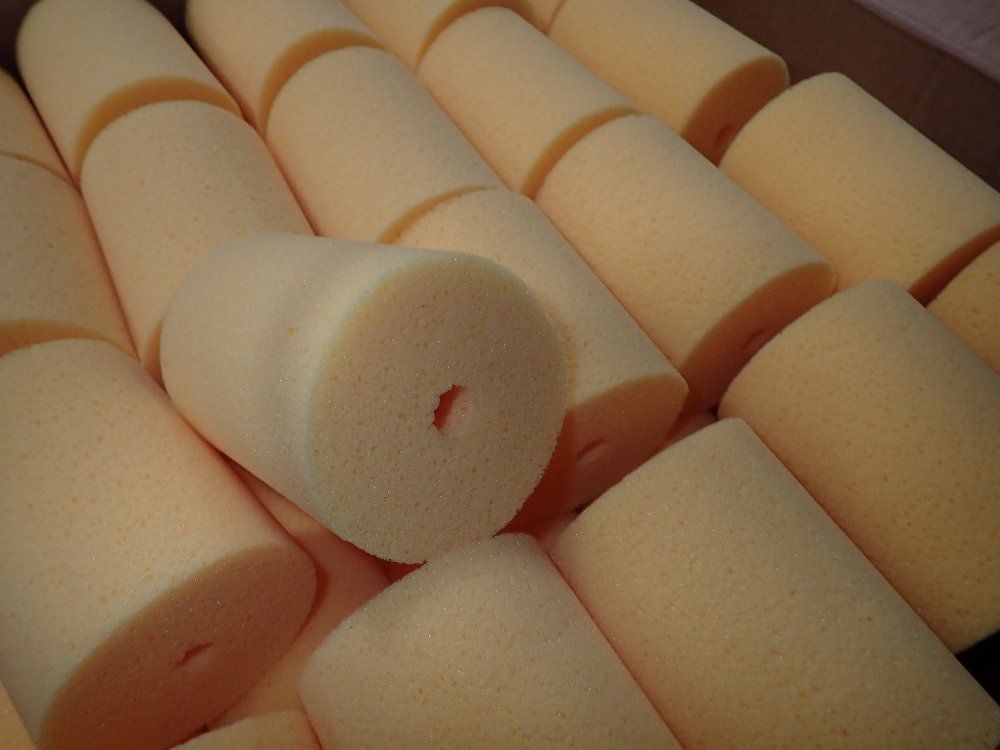  Sponges