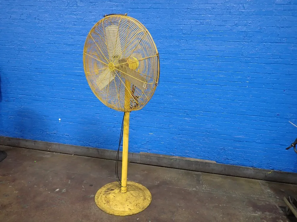 FAN