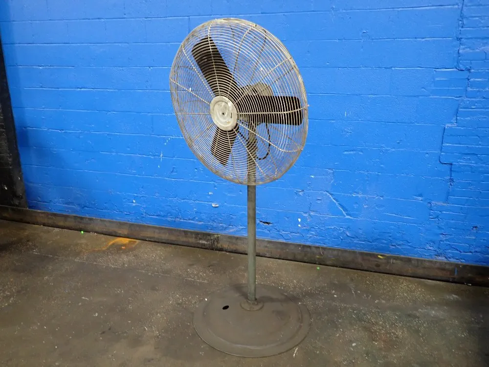 FAN