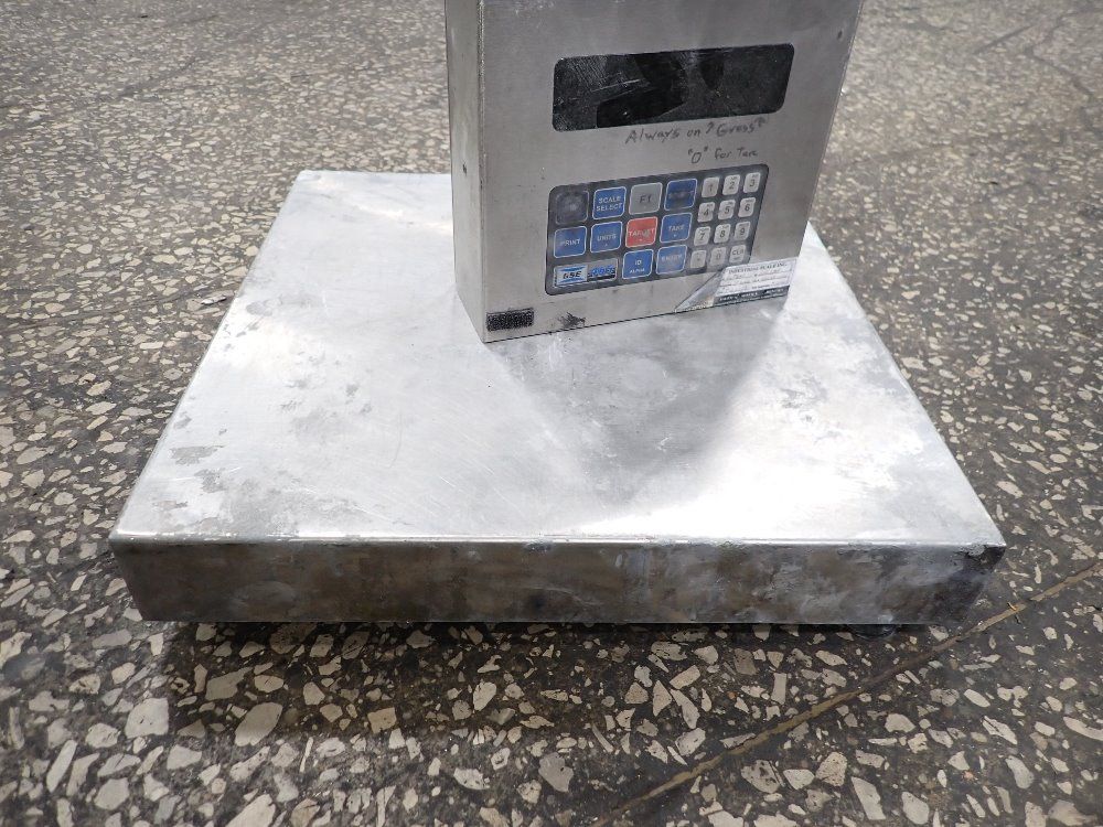 Spxgse Scale