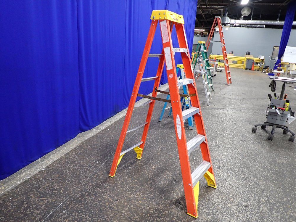 Werner 69 Ladder