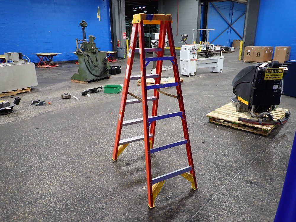 Werner 69 Ladder