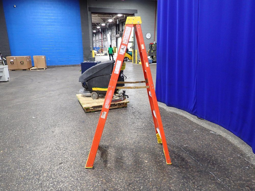 Werner 69 Ladder