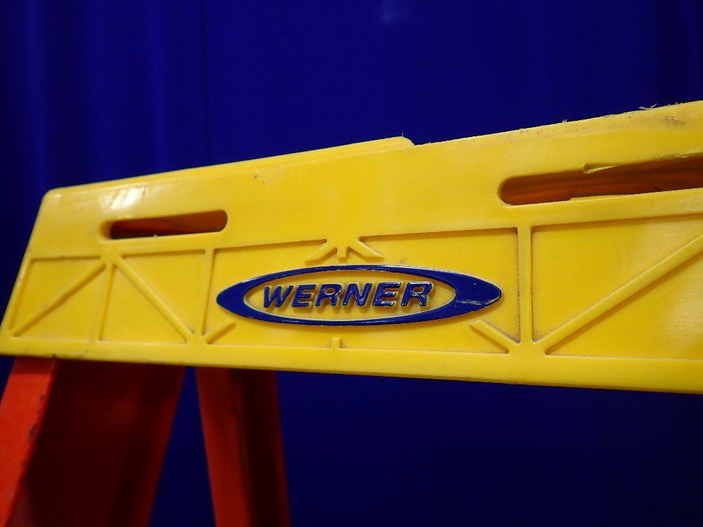 Werner 69 Ladder