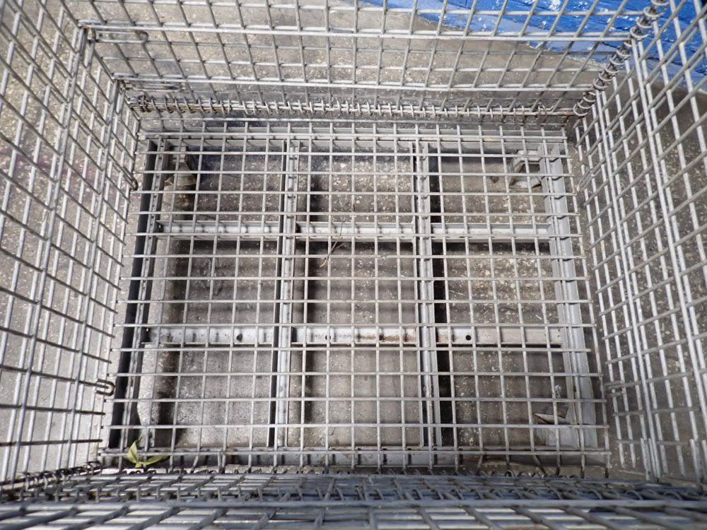  Collapsible Wire Basket
