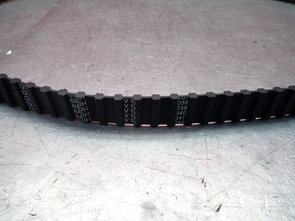 Bb Belt 