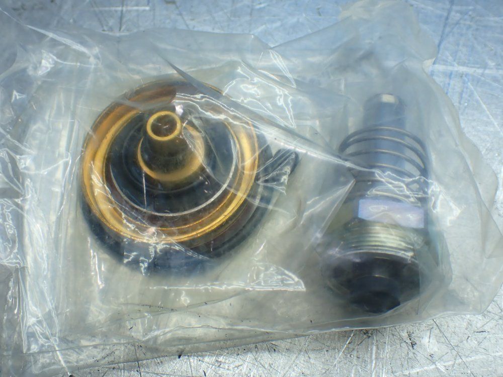 Asco Valve Repair Kit - 318749