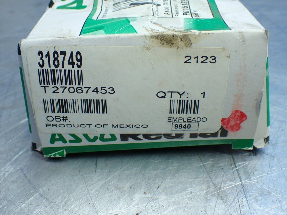 Asco Valve Repair Kit - 318749