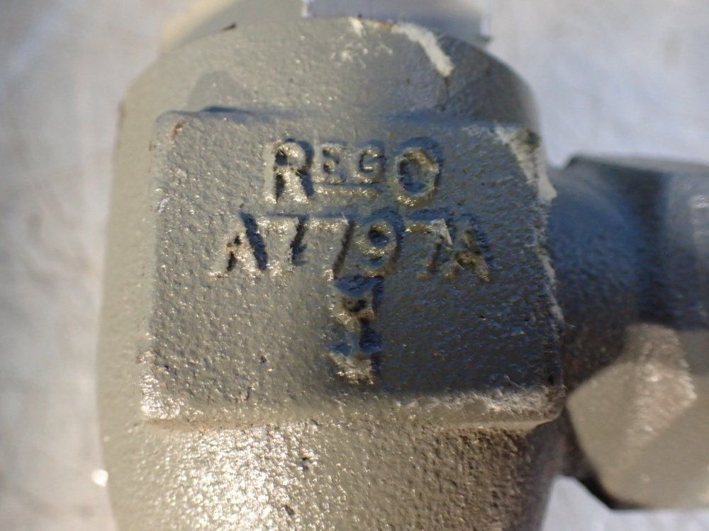 Rego 1" Quick Acting Hose End Shut Off Valves - A7797a