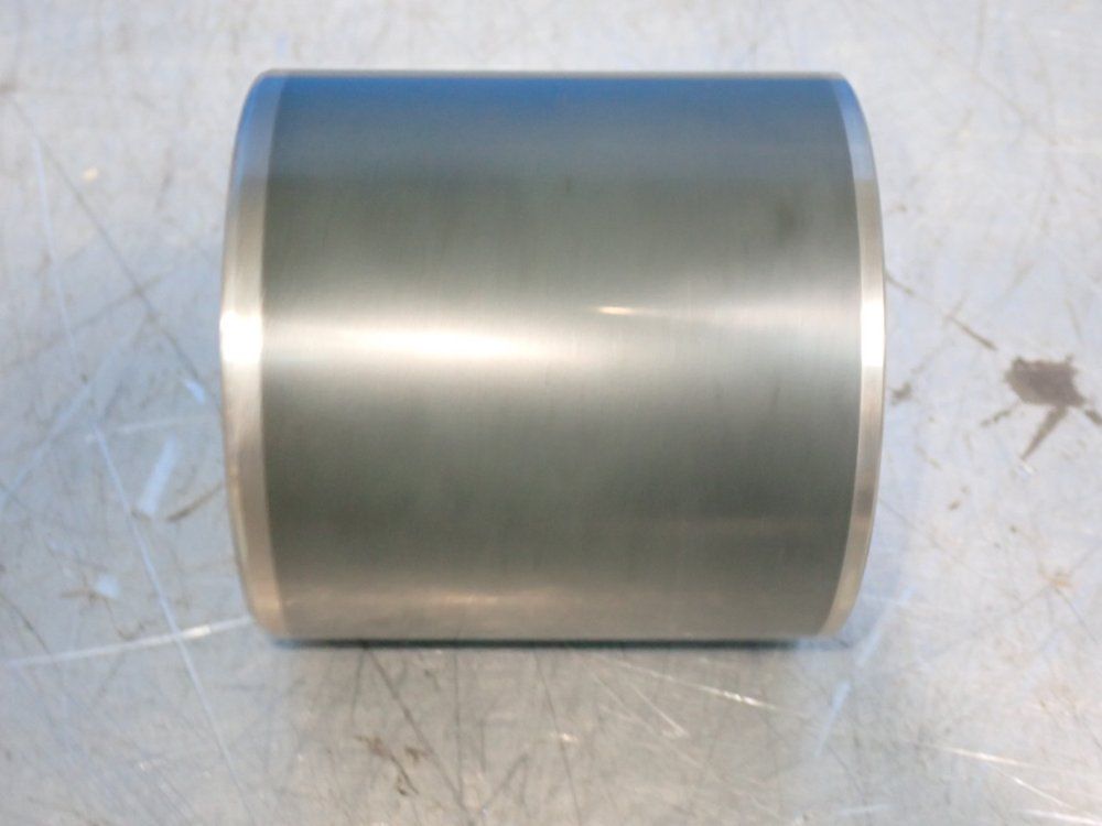 Binks Dia 100 Pump Piston Assembly. - 194243