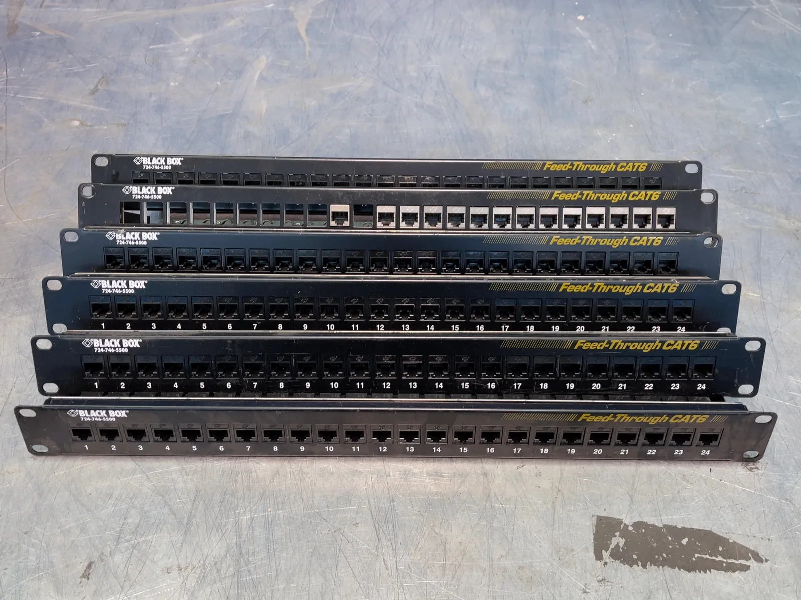 Black Box 24 Ports Feed-through Cat6 Patch Panels