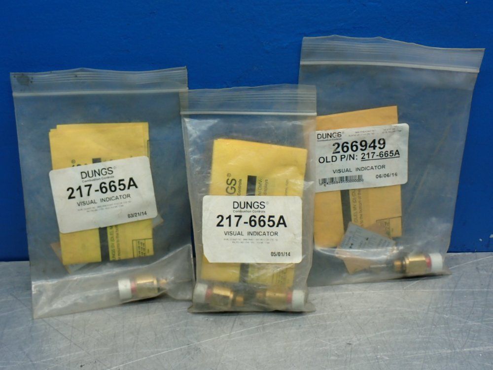 Dungs Visual Indicator Unit, 4pcs - 217-665a