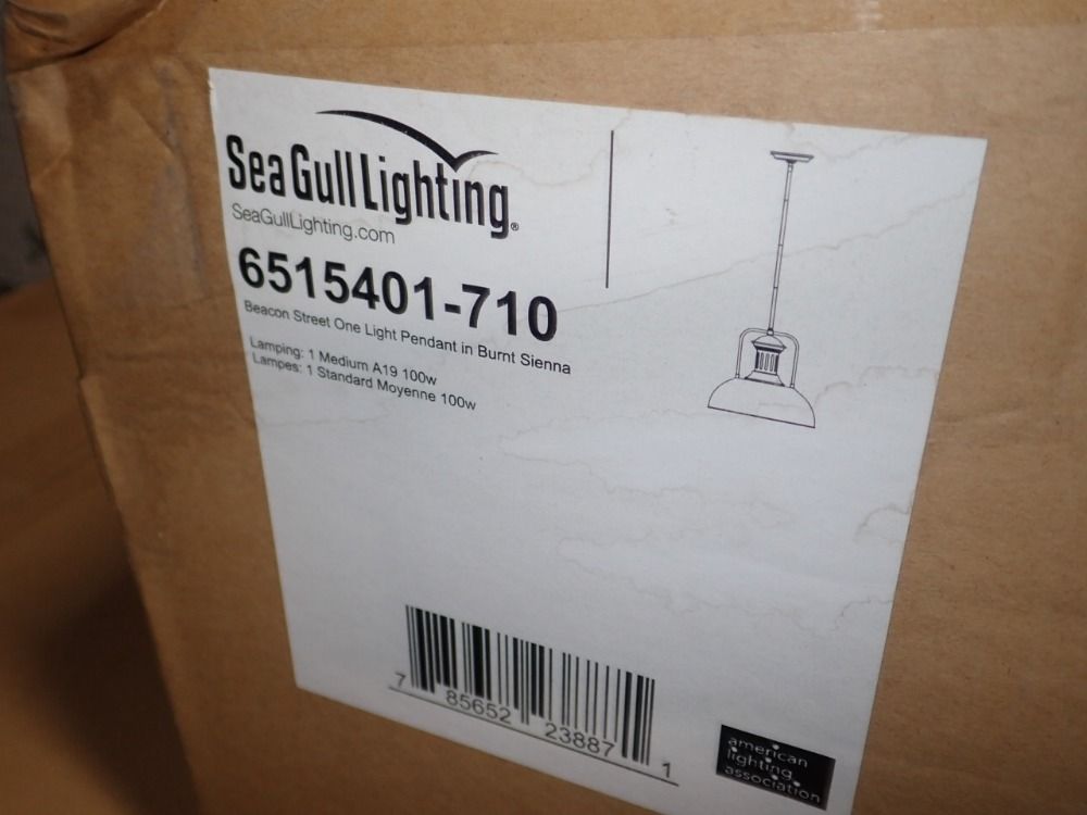 Seagull Lighting Light Fixture