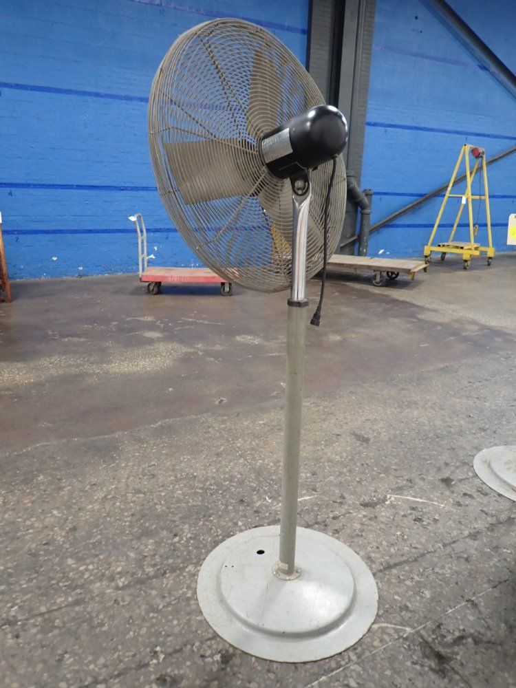 Tpi Pedestal Fan
