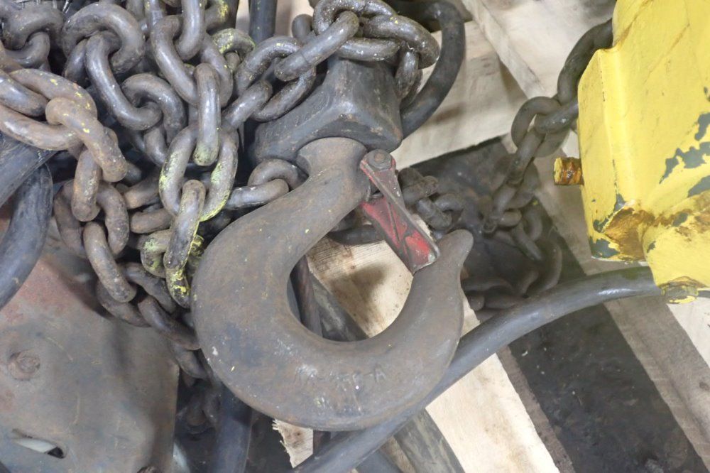 Budgit Electric Chain Hoist