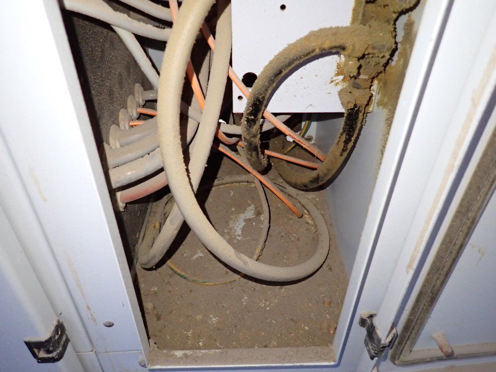 Homag 220" Edgebander - Kl74/a3/52