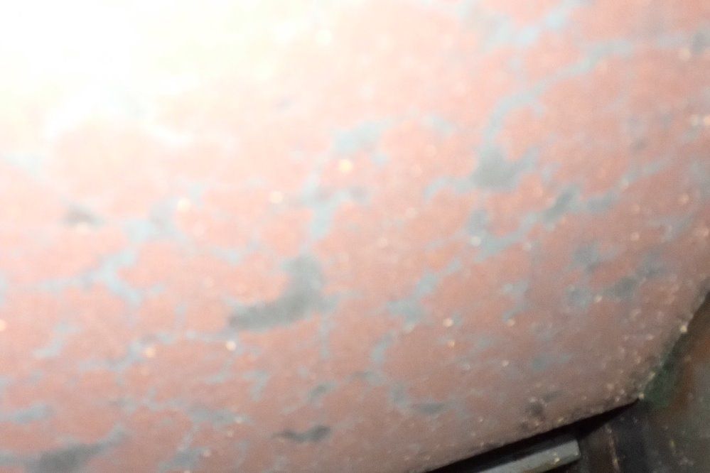 Rapid 5 Hp Granulator - 912 C