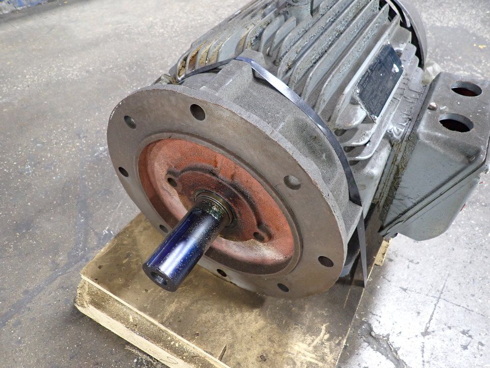 Weg Motor