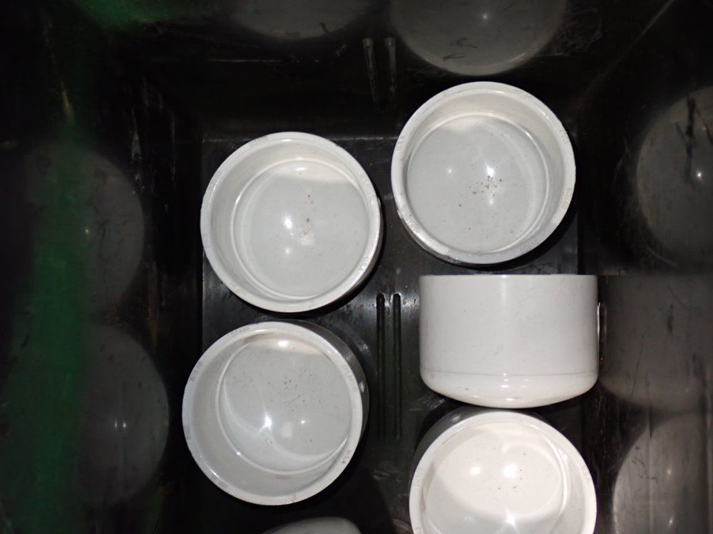  Plastic Caps
