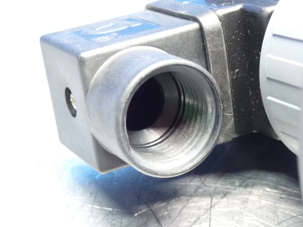 Plast-o-matic Solenoid Valve D2 Series - Ps100epw11-pv-120/60