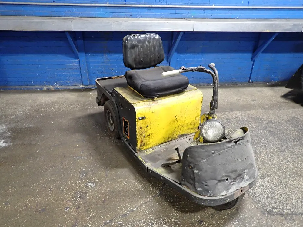  Electric Cart