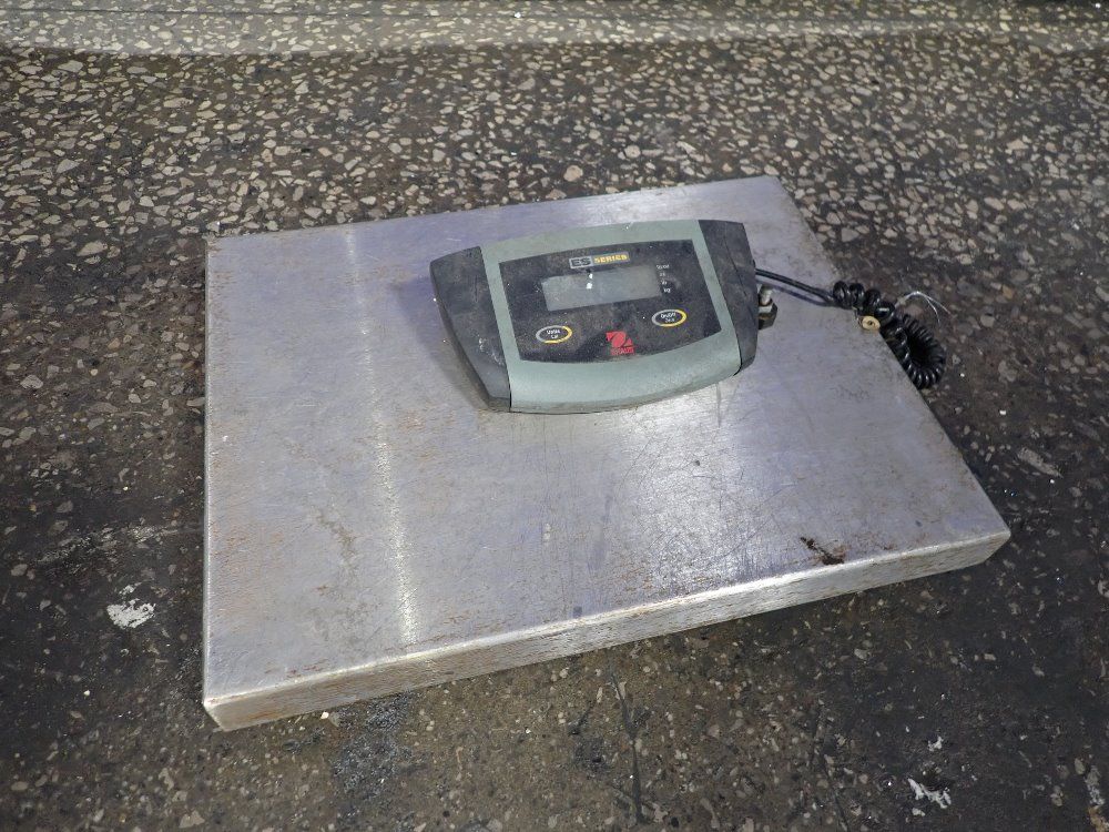  Scale