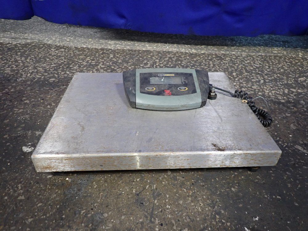  Scale