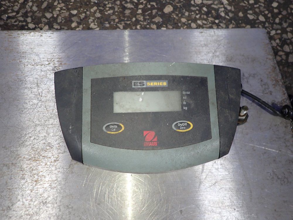  Scale
