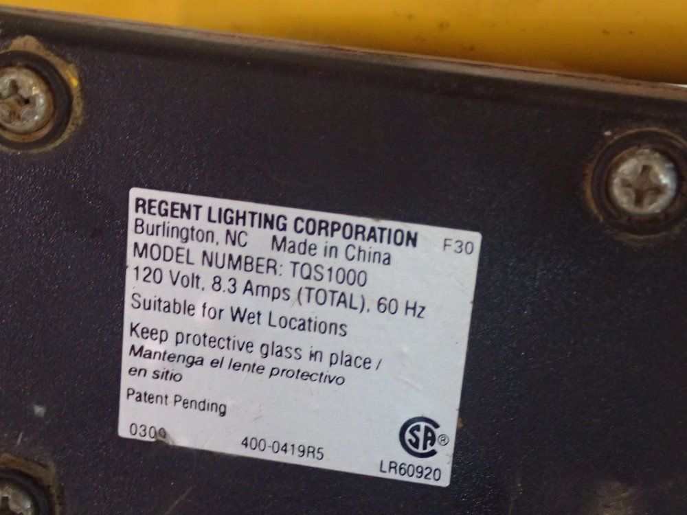 Regent Linghting Corporation Portable Lamp