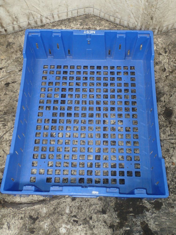 Buckthorn Plastic Crate