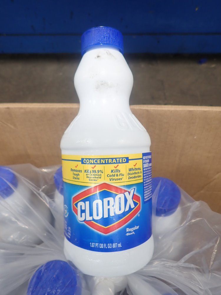 Clorox Bleach