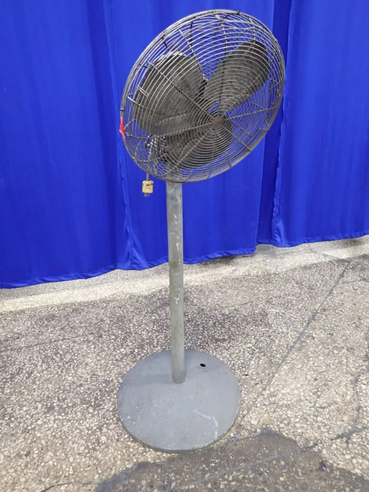 Dayton Electric Pedestal Fan
