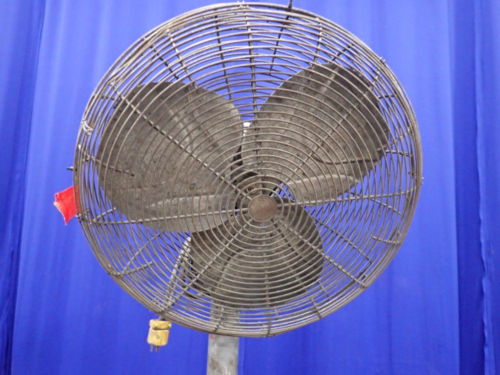 Dayton Electric Pedestal Fan