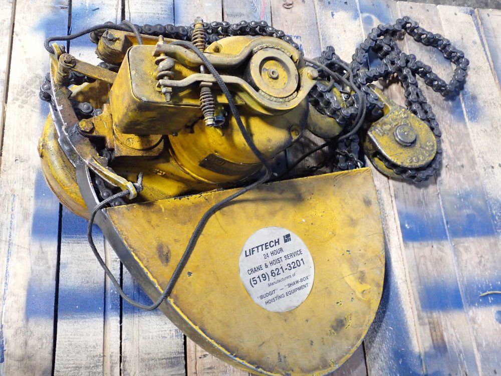 Budgit 4000 Lbs Electric Hoist - 404958-6