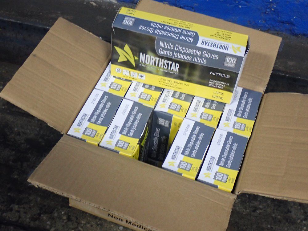 Northstar Large Large Disposable Glove