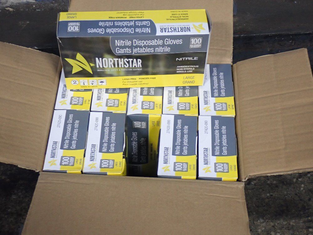 Northstar Large Large Disposable Glove