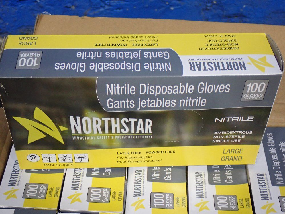 Northstar Large Large Disposable Glove